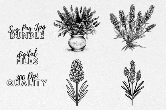 Lavender SVG – Lavender Floral Clipart